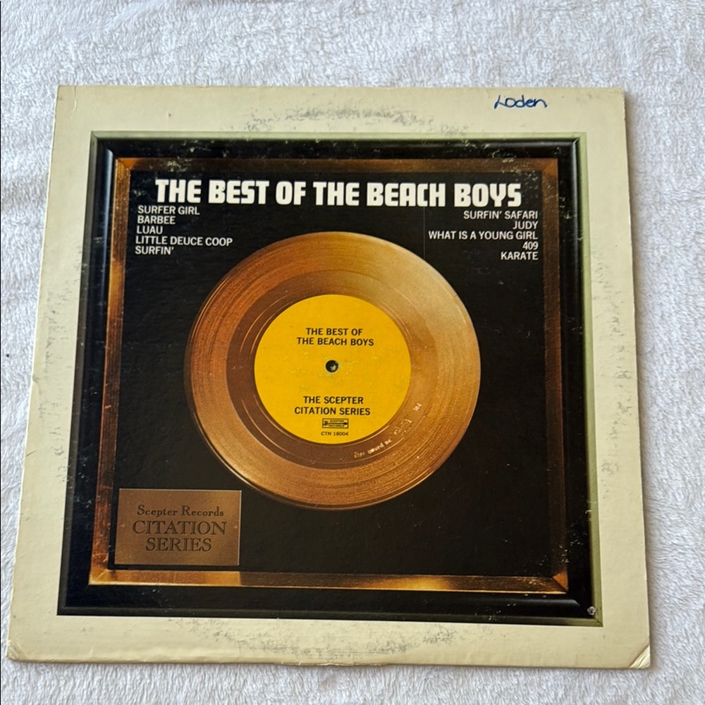 The Best of The Beach Boys Vinyl Record